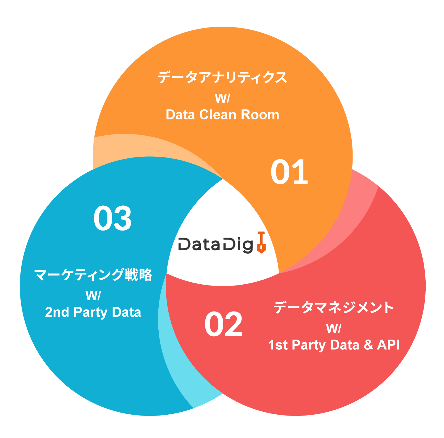 CCI、クッキーレス対応のデータマーケティングサービス「Data Dig」の提供を開始