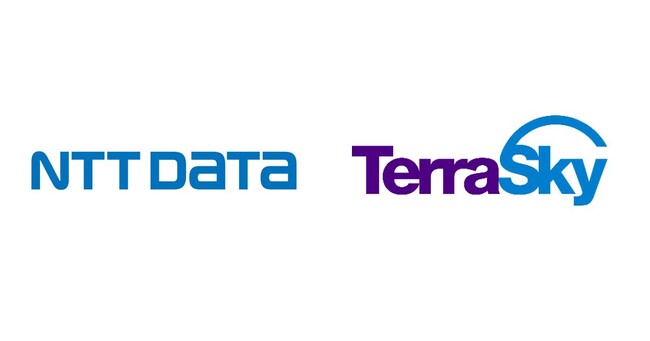 NTTデータとテラスカイ、Salesforceのセールス強化目的で資本提携